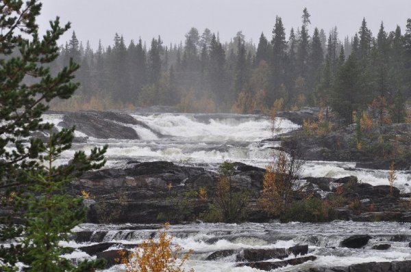 Trappstegsforsen_2.jpg Trappstegsforsen_2.jpg