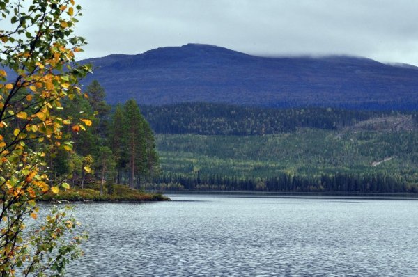 Väg_342_1.jpg Väg_342_1.jpg