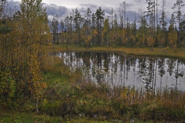 Väg_342_2.jpg Väg_342_2.jpg