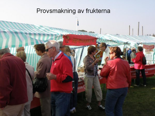 kivik9.JPG