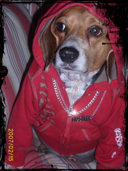 Marshall.jpg Marshall.jpg