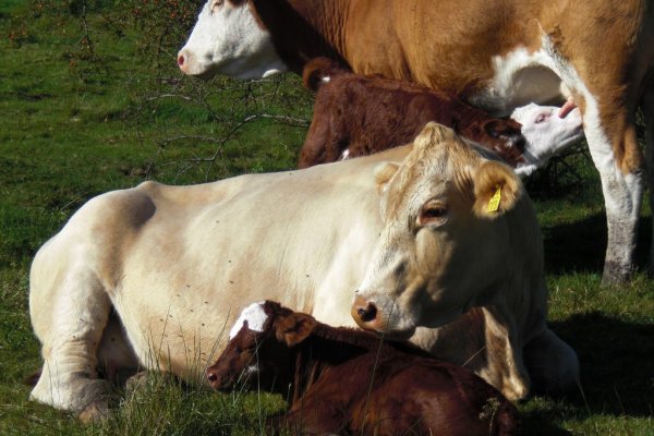 September 013 (1024x683).jpg