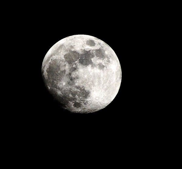 LUNA  från Täby.JPG