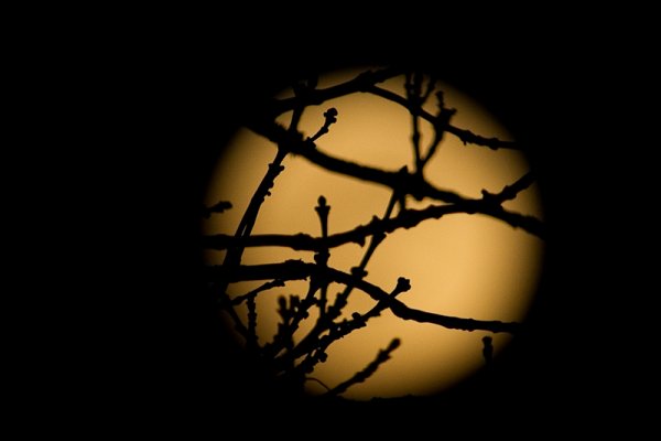 KBA-005.jpg KBA-005.jpg