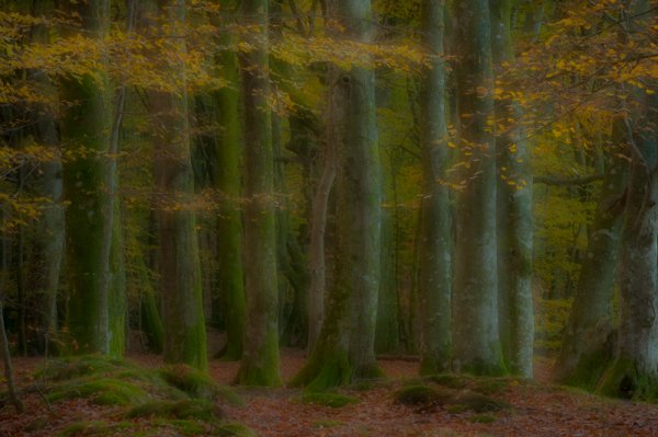 KBA-004-2.jpg KBA-004-2.jpg