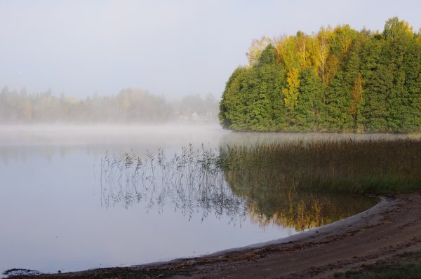 Dimma över muten 032.JPG