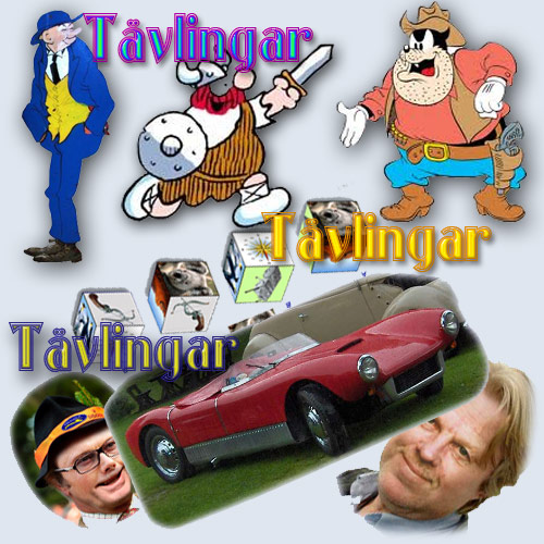 tävlinrekl.jpg