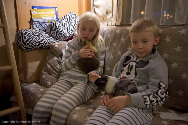 husbil-5.jpg husbil-5.jpg