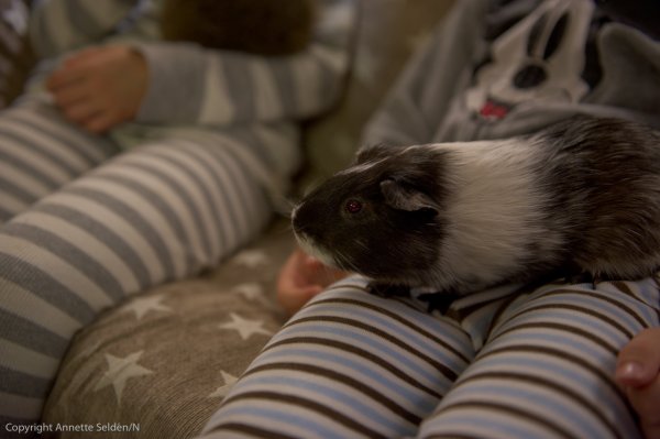 husbil-6.jpg husbil-6.jpg