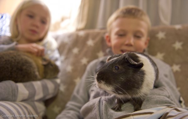 husbil-7.jpg husbil-7.jpg