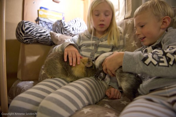 husbil-8.jpg husbil-8.jpg