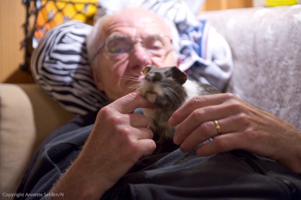 husbil-10.jpg husbil-10.jpg