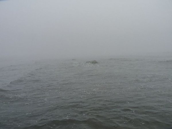 dimma_1_111105.jpg dimma_1_111105.jpg