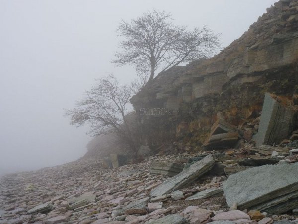 dupvik_6_111105.jpg dupvik_6_111105.jpg