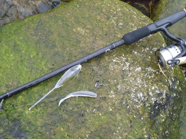 gulp111105.jpg gulp111105.jpg