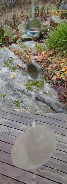 höst mot vinter 2011 003.JPG