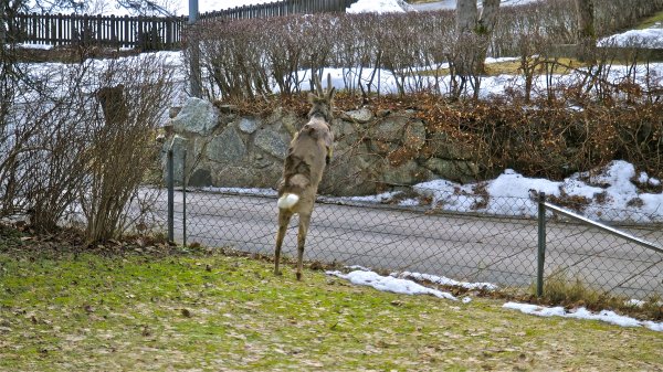DSC_0112.jpg