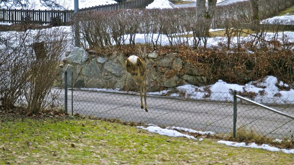 DSC_0113.jpg