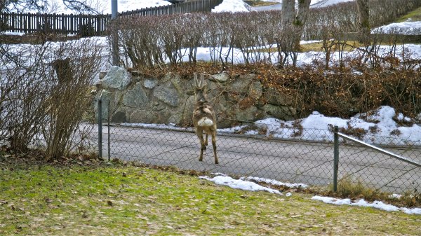 DSC_0114.jpg
