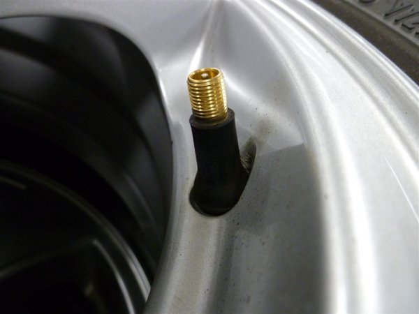 P1010459 (Large).JPG