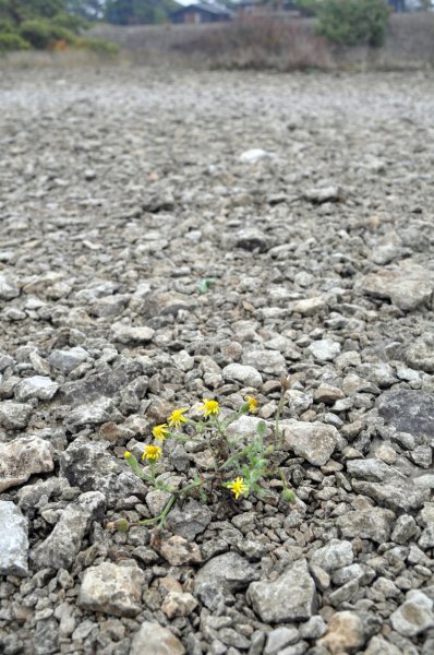 Byrum_2.jpg Byrum_2.jpg