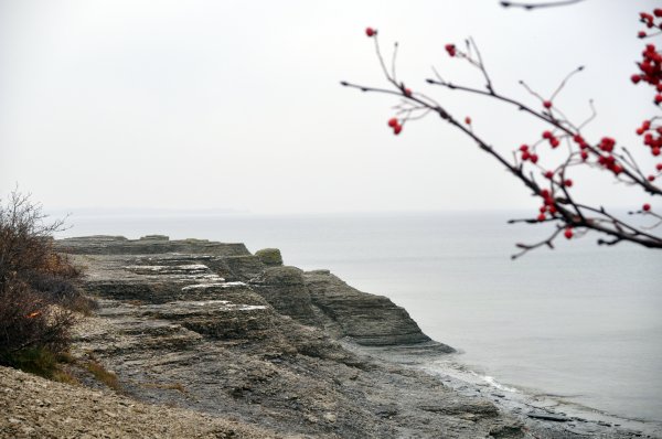 Byrum_4.jpg Byrum_4.jpg