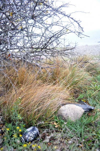 Byrum_3.jpg Byrum_3.jpg