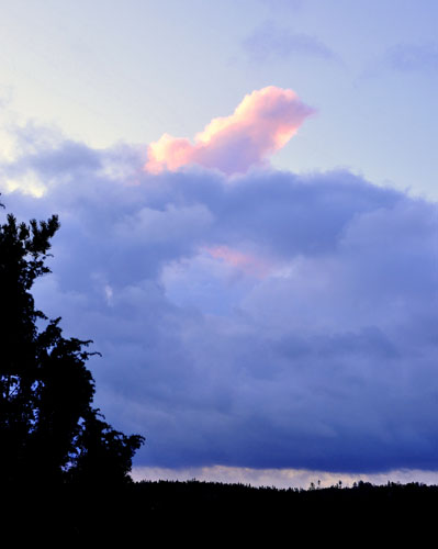 DSC_0104 - Kopia.JPG