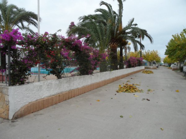 Stormen 6-11-2011 011.JPG Stormen 6-11-2011 011.JPG