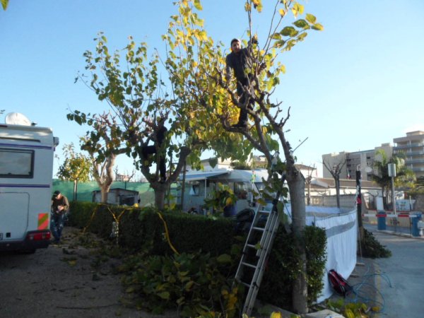 stormen nov.05 2011 014.JPG stormen nov.05 2011 014.JPG