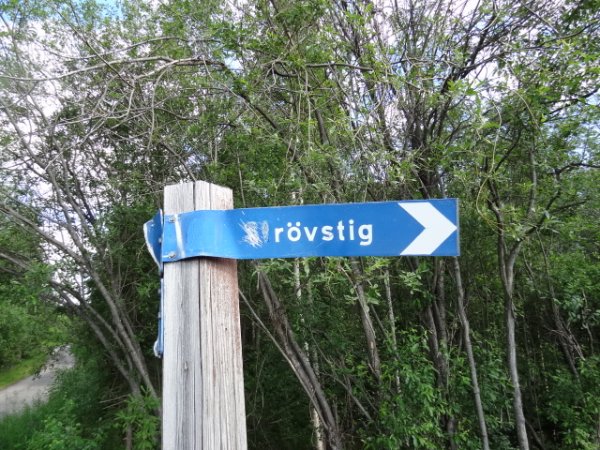 RövstigVidLuleälv.JPG
