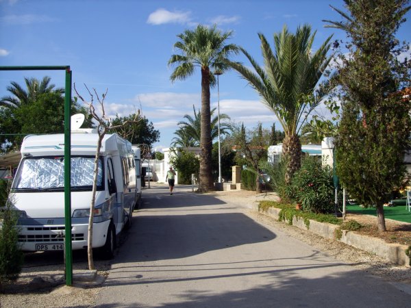 Santa Pola Bonzo.jpg