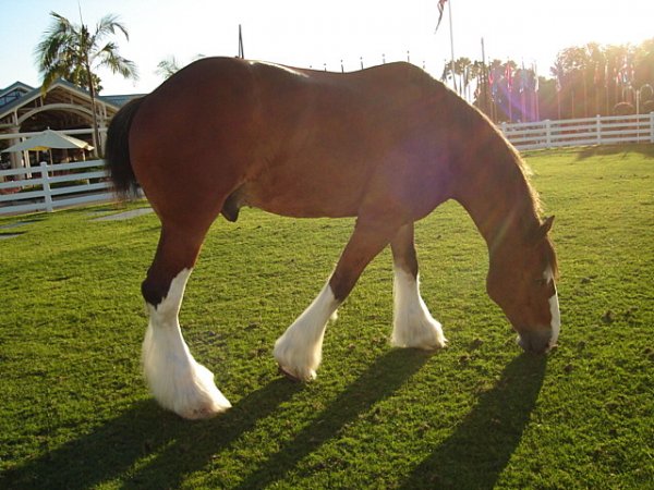 DSC00787.JPG DSC00787.JPG