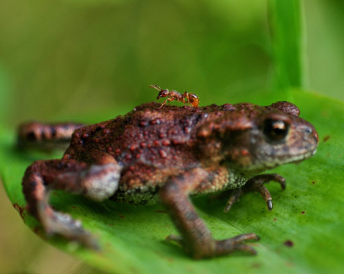 DSC_2960 - Kopia.JPG