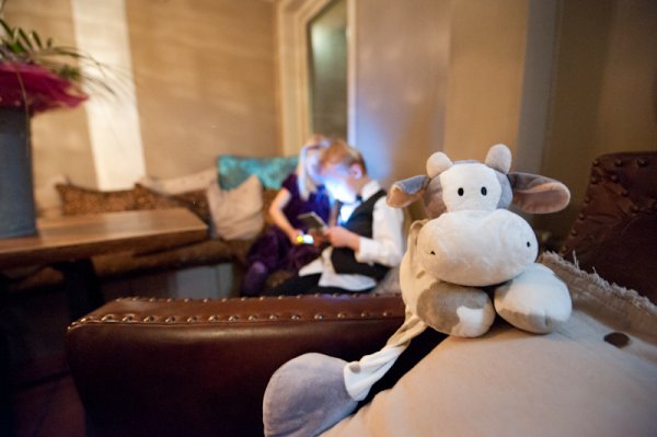 _DSC2447.jpg _DSC2447.jpg