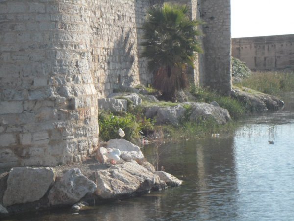 1sta adevent 2001 peniscola 010.JPG 1sta adevent 2001 peniscola 010.JPG