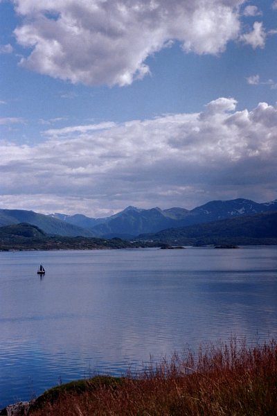 Film5_26.jpg
