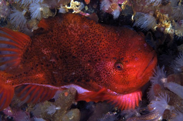 27 1 2.jpg 27 1 2.jpg