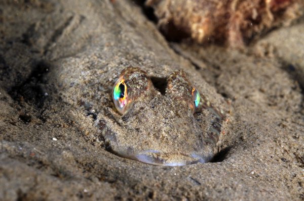 27 1 3.jpg 27 1 3.jpg