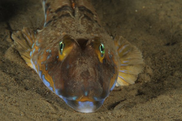 27 1 5.jpg 27 1 5.jpg