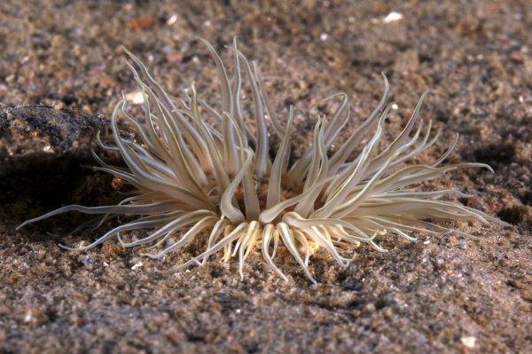 27 1 6.jpg 27 1 6.jpg