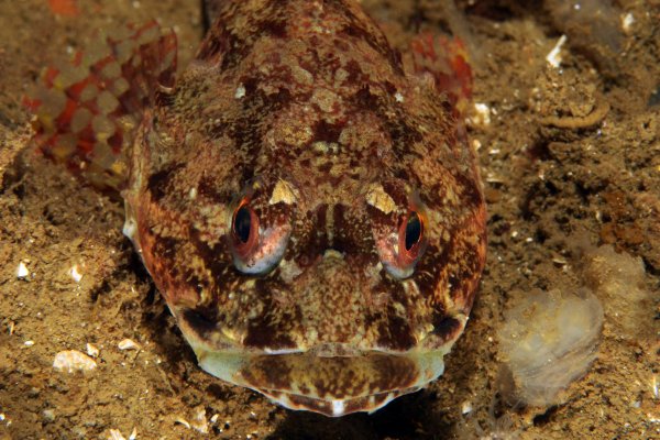 27 1 7.jpg 27 1 7.jpg