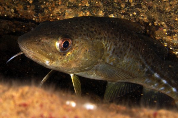 27 1 8.jpg 27 1 8.jpg