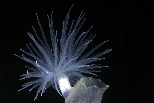 27 1 10.jpg 27 1 10.jpg