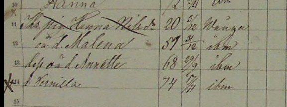 Anette_hfl.jpg Anette_hfl.jpg