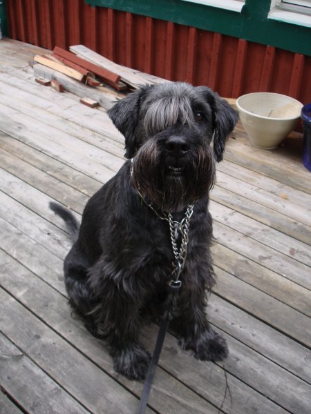 DSC04429 hos Leif.JPG