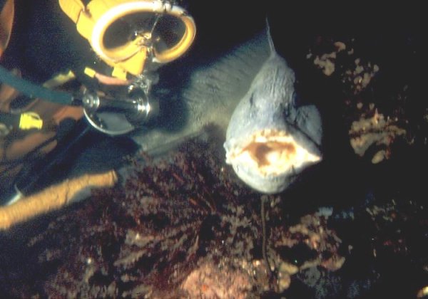 Scan20021x.jpg Scan20021x.jpg