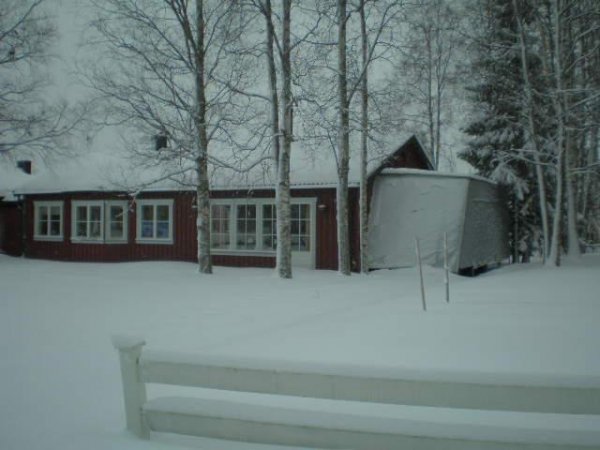 Vinterdvala (Small).JPG