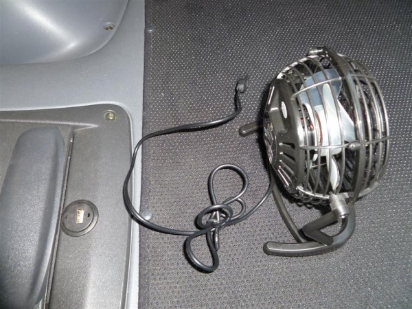 P1010761 (Large).JPG