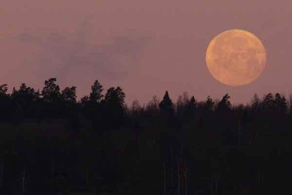 gffffffffffdbhgfd 068.JPG